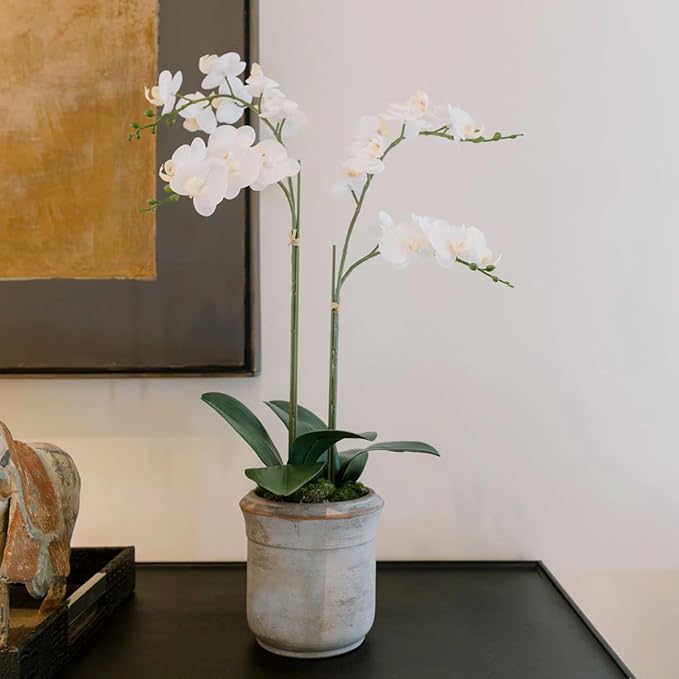 Faux White Orchid Plant, Premium Artificial Indoor Flower Display Stands 24”, Beautiful Sculptural Blooms That Lasts Forever, Grey Planter Pot Included-Ruum Studio Home