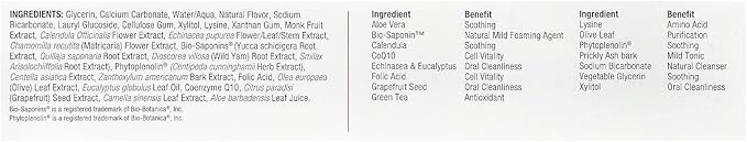 Nature's Answer Periobrite Kids Toothpaste 4 Ounce - Vegetarian, Non GMO, Gluten Free, Fluoride Free, with Xylitol, Natural Strawberry Flavor - Supports Oral Wellness for Kids, Children, Toddlers-Ruum Studio Home