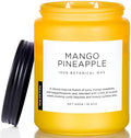 M&SENSE Mango Pineapple Scented Candle, 19.4oz Non Toxic Natural Soy Wax 110 Hours Long Lasting Burn Fruit Scent Summer Gifts for Housewarming, 2 Wick Aromatherapy Candle for Women Men Family Friends-Ruum Studio Home