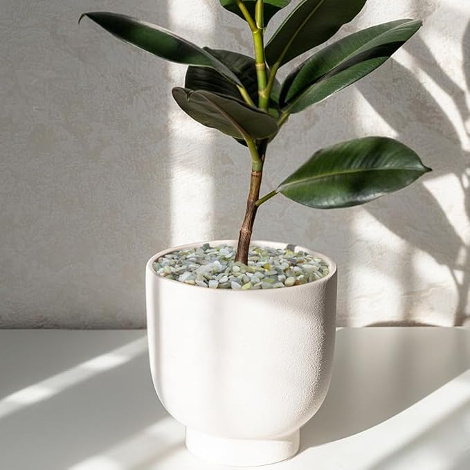 10LB Succulent and Cactus Pebbles, 1/5 Inch Jade Natural Decorative Polished Stones, River Rocks for Plants, Vases and Outdoor Gardening,Green-Ruum Studio Home