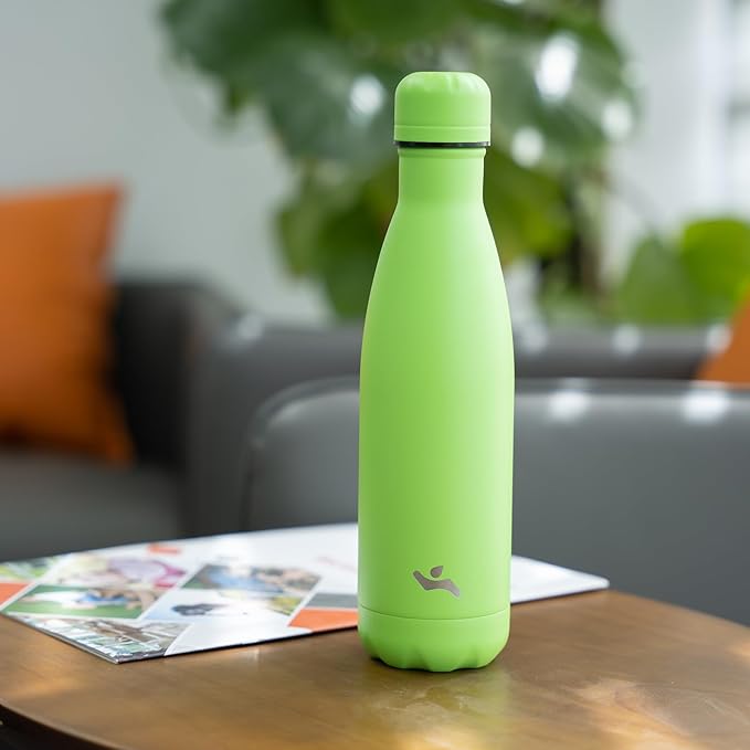 Insulated Water Bottles,25 oz Double Wall Stainless Steel Vacumm Metal Flask for Sports Travel,Green-Ruum Studio Home