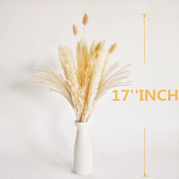 Natural Dried Pampas Grass Decor, Beige Pampas Grass, Bunny Tails Dried Flowers, Reed Grass Bouquet for Wedding Boho Flowers Home Table Decor, Rustic Farmhouse Party (100 in Total )-Ruum Studio Home