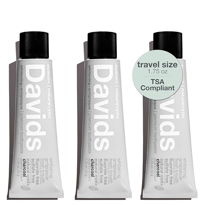 Davids Whitening Charcoal Travel Toothpaste, Antiplaque, Fluoride Free, Peppermint, 1.75 OZ, TSA Approved Travel Size (3 Pack)-Ruum Studio Home