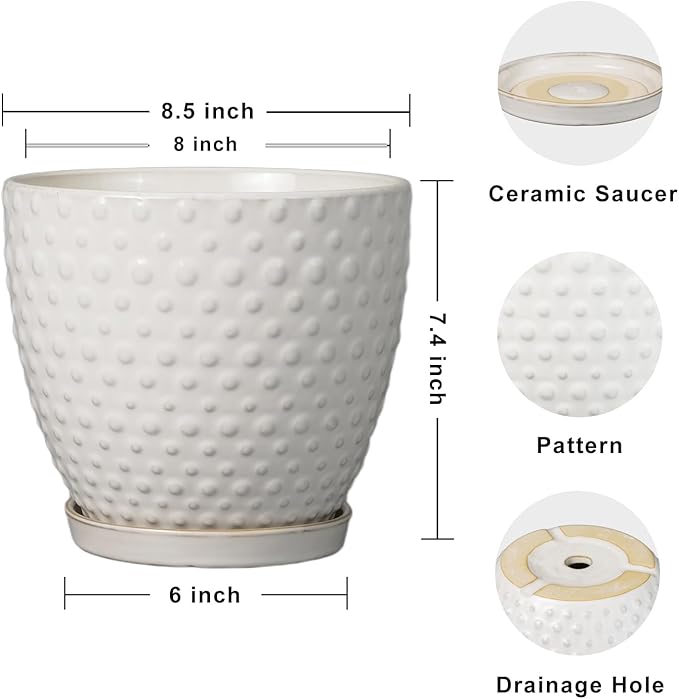 G EPGardening 8 Inch Plant Pot for Indoor Outdoor Plants Round Ceramic Planter Pot with Drainage Hole and Saucer Modern Large Flower Pot White-Ruum Studio Home
