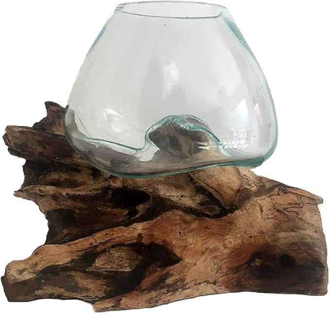 Hand Blown Molten Glass & Teak Wood Terrarium/Vase/Fish Bowl - Premium Quality (7" - 9" High)-Ruum Studio Home