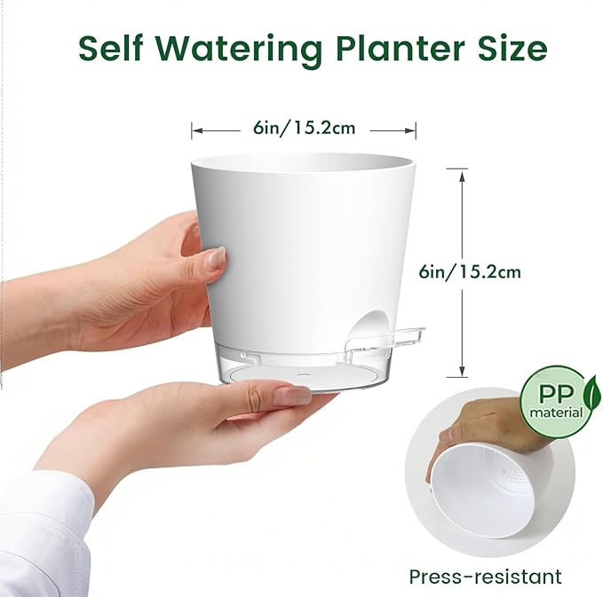 6 inch Self Watering Pots for Indoor Outdoor Plants, 3 Pack Flower Plant Pots with Drainage Holes and Clear Reservoirs, Visible Water Level, Plastic Planters with Wicking Rope, White-Ruum Studio Home