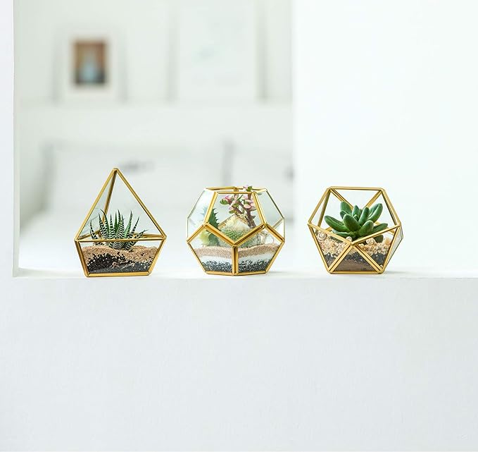 Mkono 4 Inches Mini Glass Geometric Terrarium Container Set of 3 Modern Tabletop Planter Shelves Decor Display Centerpiece for Succulent Miniature Fairy Garden Air Plant, Gold (Plant Not Included)-Ruum Studio Home