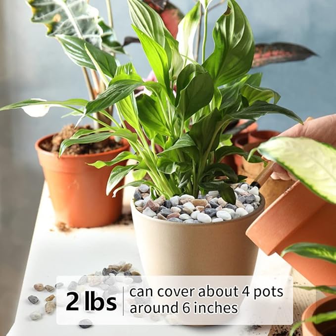 2LB Succulent and Cactus Gravel Pebbles, 1/5 Inch Natural Decorative Polished Stones, River Rocks for Vases, Aquariums, Terrarium and Outdoor Gardening, Mixed Color-Ruum Studio Home