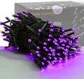 HOME LIGHTING 66ft Halloween Decorative Mini Lights, 200 LED Green Wire Fairy Starry String Lights Plug in, 8 Lighting Modes, for Indoor Outdoor Xmas Tree Wedding Party Decoration (Purple)-Ruum Studio Home
