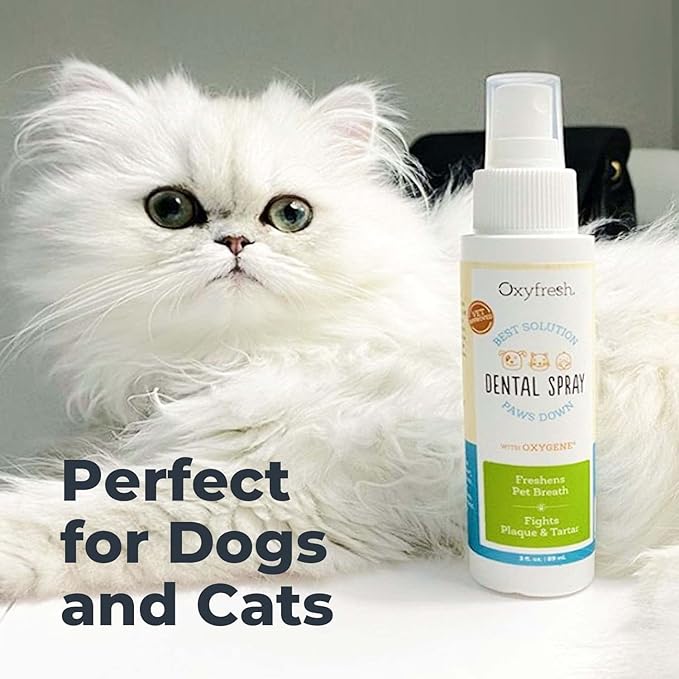 Oxyfresh Advanced Pet Dental Spray – Instant Dog and Cat Fresh Breath: Easiest No Brushing Pet Dental Solution for Dogs and Cats – Best Way to Fight Plaque, Keep Teeth & Gums Healthy, 8oz.-Ruum Studio Home
