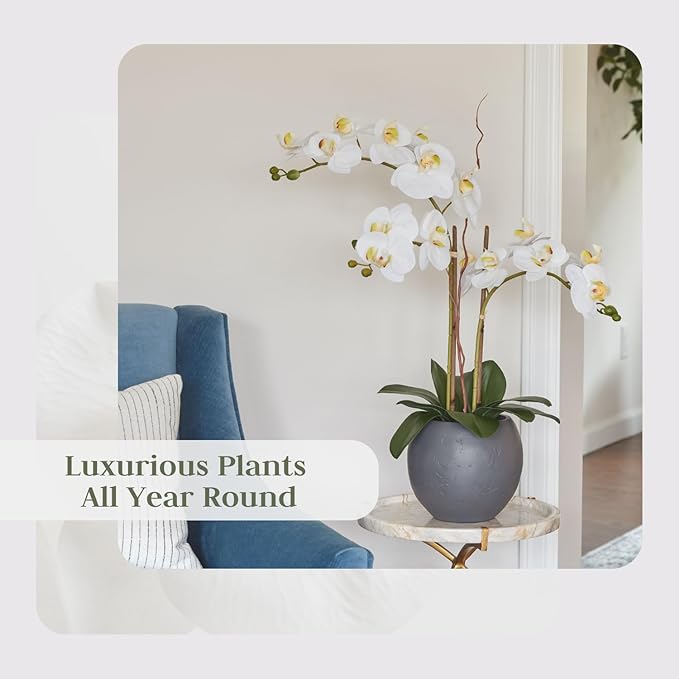 Faux White Orchid Plant, Premium Artificial Indoor Flower Display Stands 25-Inches with Beautiful Sculptural Blooms and Foliage That Lasts Forever, Grey Planter Pot Included-Ruum Studio Home