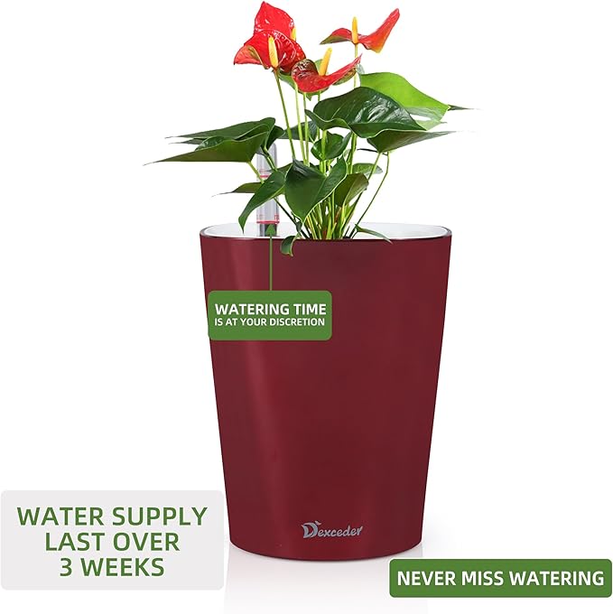 Dexceder 6x7 Self Watering Planter Indoor Outdoor, High Gloss Table Flower Plant Pot with Water Level Indicator (Wine Red)-Ruum Studio Home