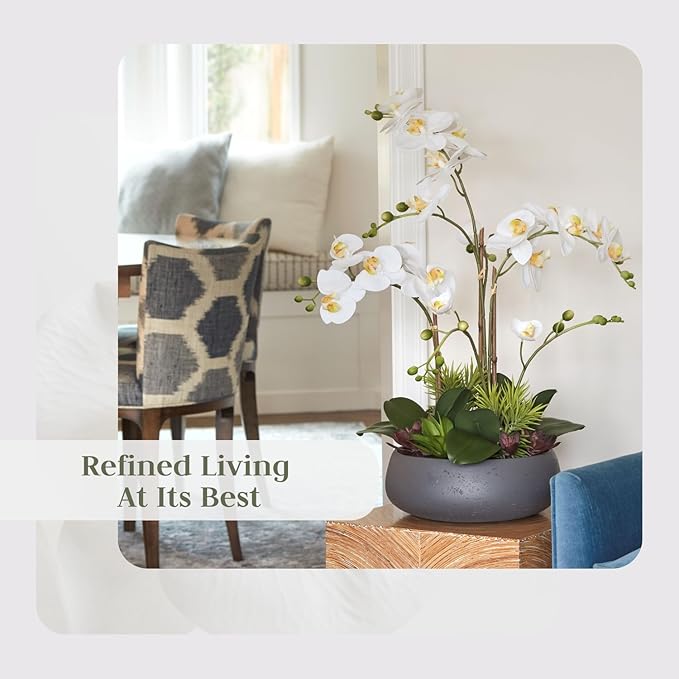 Faux Orchid Plant w/Succulents, Premium Artificial Indoor Flower Display Stands 24” w/Beautiful Sculptural Blooms and Succulents That Lasts Forever, Grey Planter Pot Included-Ruum Studio Home