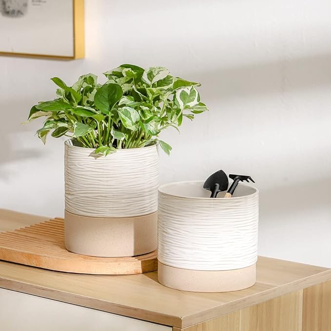Nihow Ceramic Plant Pot: 6 Inch Planter with Drainage Hole & Saucer for Indoor & Outdoor Plants - Cylinder Round Flower Pot for Succulent/Herbs/Violets - Cream White & Brown-Ruum Studio Home