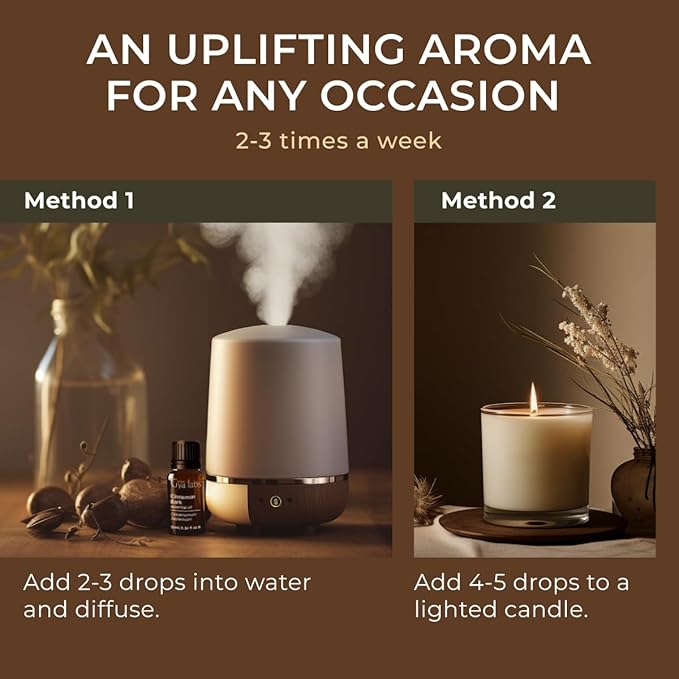 Gya Labs Cinnamon Essential Oil for Diffuser - 0.34 Fl Oz - 100% Pure Natural Cinnamon Bark Essential Oil for Skin, Hair, Lips Body & Candle Making Scent-Ruum Studio Home
