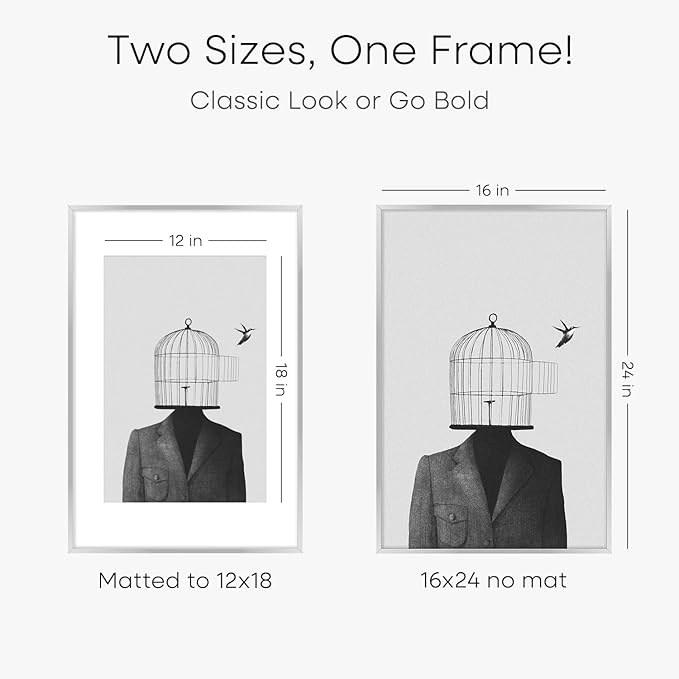 Homeforia 16x24 Silver Picture Frames, High End Metal 16x24 Poster Frame with Mat 12x18 in Photo, 16 x 24 Silver Frame Matted to 12 by 18 Print, 24x16 Hanging Frame, Tempered Glass, Wall Kit, Set of 1-Ruum Studio Home