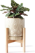 8 Inch Plant Pot with Stand, Ceramic Planter with Drainage Holes, Saucers and Mesh Pads for Indoor-Outdoor Plants-Ruum Studio Home