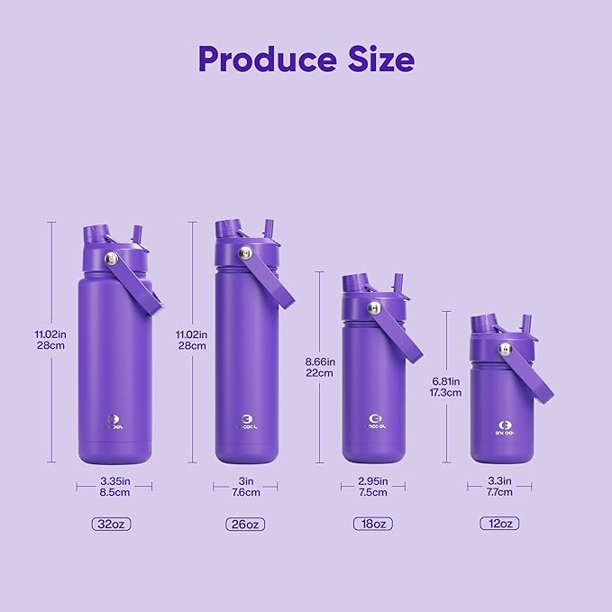 Insulated Water Bottle with Straw Stainless Steel Water Bottle, Leak-Proof, BPA-Free, Double Wall Vacuum Keeps Cold for 24 Hours for Sports, Travel, School (26 oz, Violet)-Ruum Studio Home