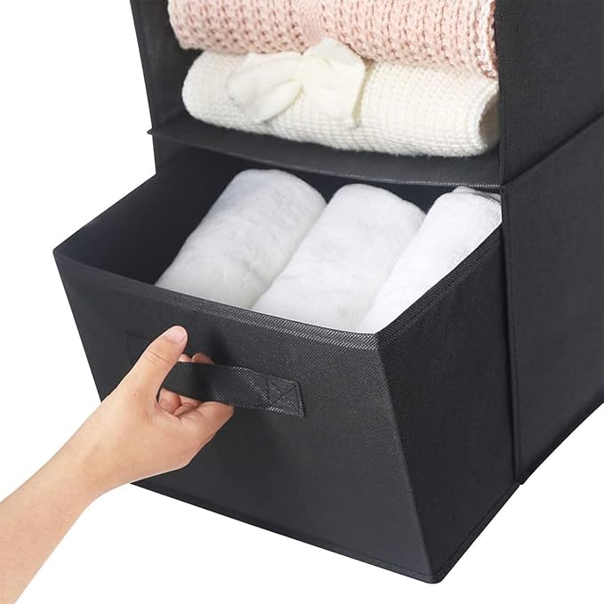 MAX Houser Hanging Shelf Closet Storage Organizer Removable Drawers ，Hanging Storage Organizer Hanging Sweater 2 Sock Underwear Drawers for Closet, Bedroom, Black-Ruum Studio Home