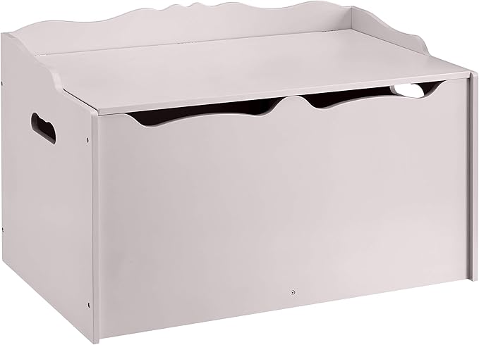 Amazon Basics Kids Toy Box, Wooden Organizer Storage Chest, Gray, 30" x 18" x 19"-Ruum Studio Home