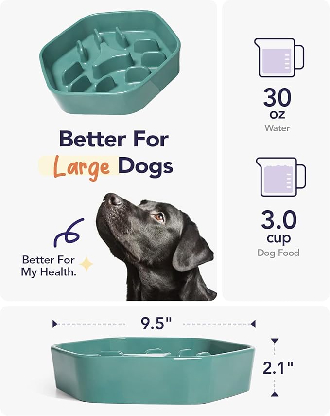 LE TAUCI PET Dog Slow Feeder Bowl Ceramic,3 Cups Puzzle Food Bowl for Small Medium Large Breed, Dog Bowls to Slow Down Eating, Maze-Ruum Studio Home