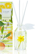 LOVSPA Reed Diffuser Set, Coastal Citrus Scented Oil Diffuser with Sticks, Home Fragrance Accessories for Bathroom Shelf Decor, Aroma Diffusers for Home or Office Desk, USA Made-Ruum Studio Home