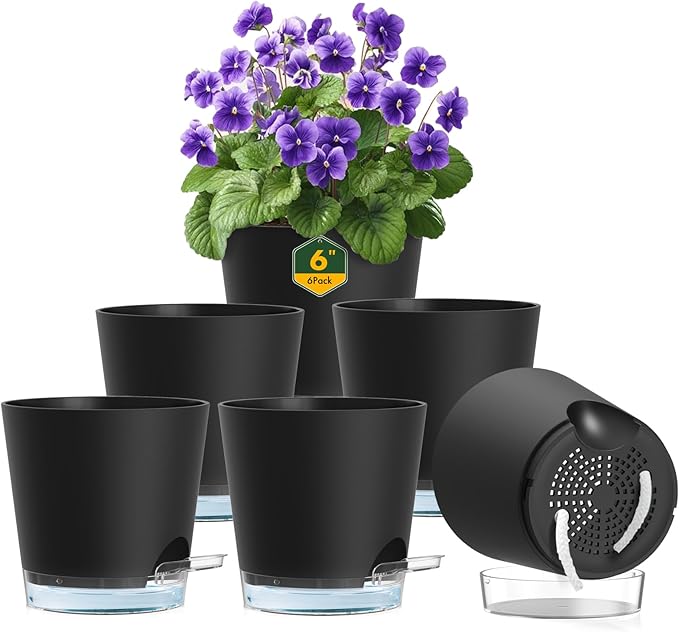 6 inch Self Watering Pots for Indoor Outdoor Plants, 6 Pack Flower Plant Pots with Drainage Holes and Clear Reservoirs, Visible Water Level, Plastic Planters with Wicking Rope, Black-Ruum Studio Home