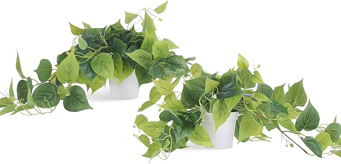 Tiita 2 Pack Fake Plants Artificial Scindapsus Aureus in Pots, Realistic Fake Greenery Potted Plants for Home Office Desk Window Sill Bathroom Bedroom Outdoor Indoor-Ruum Studio Home