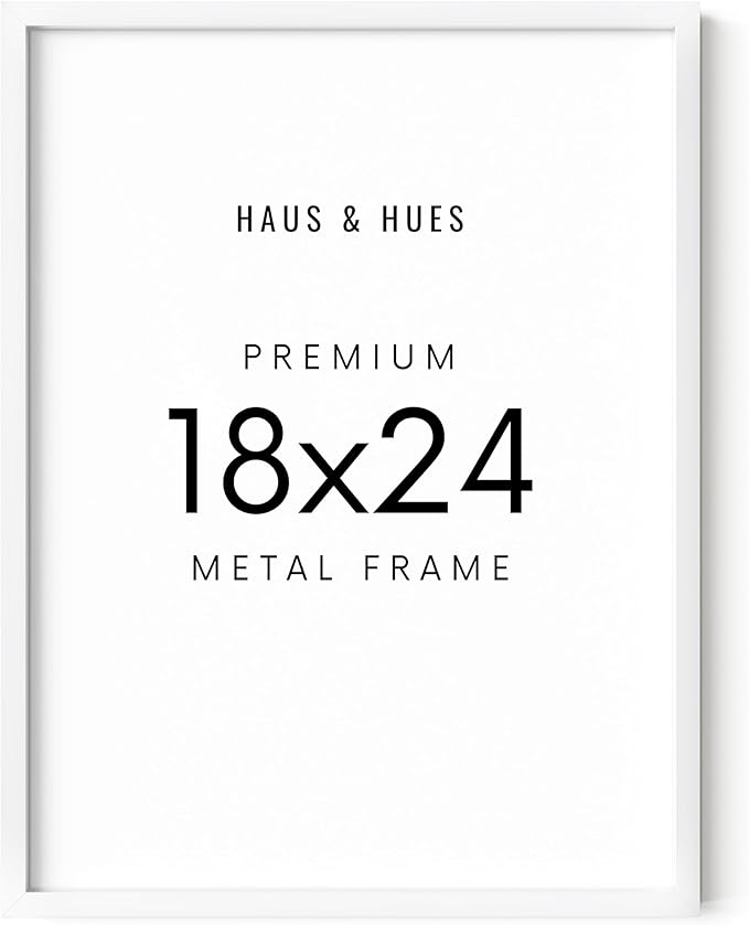 HAUS AND HUES Standalone White Aluminum Frame Set of 1-18x24-Ruum Studio Home