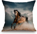 TSSOHU Safari Horses Throw Pillow Cover American Western Animals Horse Running in dust Farmhouse Cushion Case for Sofa Couch 18x18 Inches Cotton Linen-Ruum Studio Home