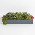 Oblong Faux Succulent Arrangement, Premium Artificial Indoor Plant Enhances Interior Design, Display on any Surface in Your Home Adding an Inviting Touch of Nature, Grey Planter Pot Included-Ruum Studio Home