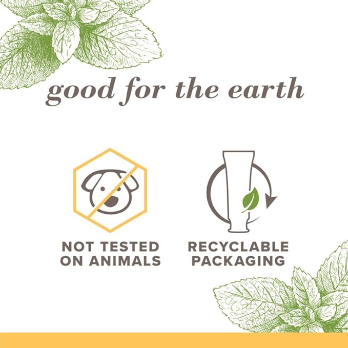 Burt's Bees Toothpaste, Natural Flavor, Fluoride-Free, Purely White, Zen Peppermint, 4.7 oz, Pack of 3-Ruum Studio Home