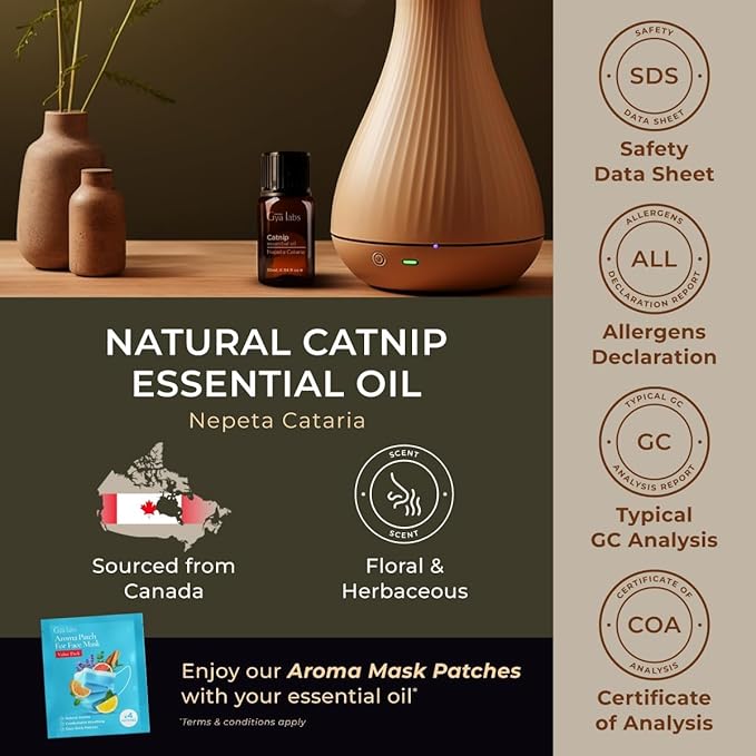 Gya Labs Catnip Essential Oil for Skin - 0.34 Fl Oz - 100% Pure Natural Catnip Oil for Diffuser, Massage & Candle Making Scent-Ruum Studio Home