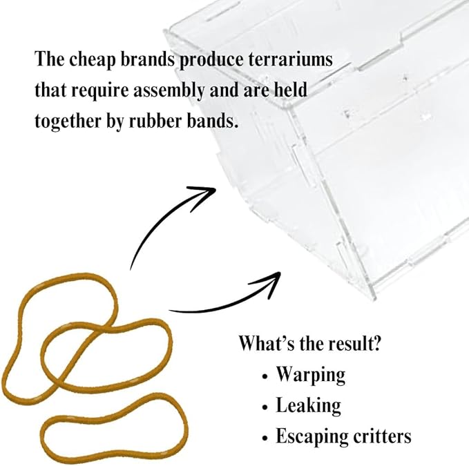 THE MASONRY | Acrylic Terrarium for Isopod Enclosure | 8"x4"x4" | Sling Tarantula Enclosure and Bug Tank | Small Spider Habitat | Terrarium Pre-Assembled with Magnetic Lock-Ruum Studio Home