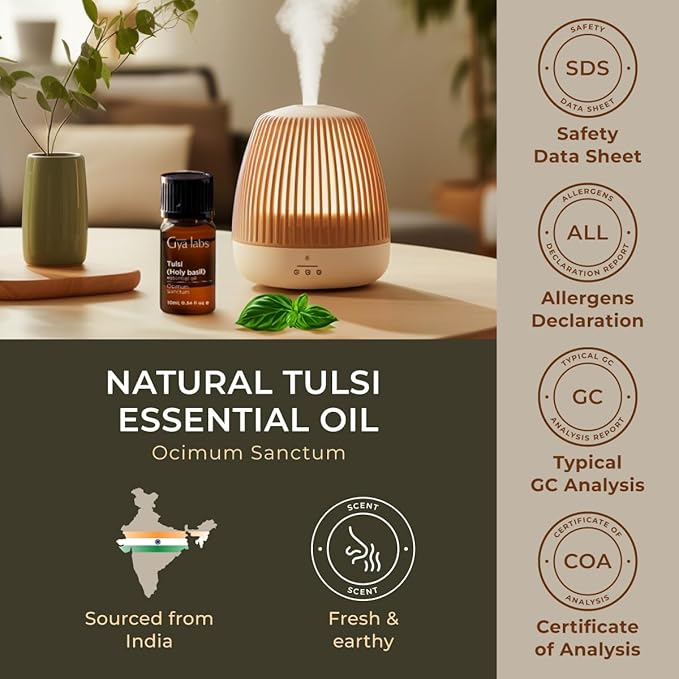 Gya Labs Holy Basil (Tulsi) Essential Oil - 0.34 Fl Oz - 100% Pure Natural Holy Basil Oil for Diffuser & Candle Making Scent-Ruum Studio Home