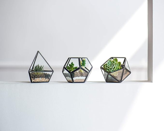 Mkono 4 Inches Mini Glass Geometric Terrarium Container Set of 3 Modern Tabletop Planter Shelves Decor Display Centerpiece for Succulent Miniature Fairy Garden Air Plant, Black(Plant Not Included)-Ruum Studio Home