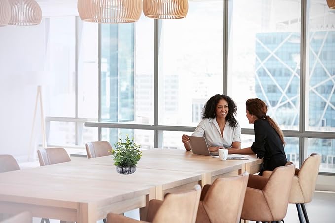 Artificial Plants Potted Real Looking Small Faux Plant with Rustic Black Cement Planter for Kitchen Office Desk Bookshelf Decor (Eucalyptus Plant)-Ruum Studio Home