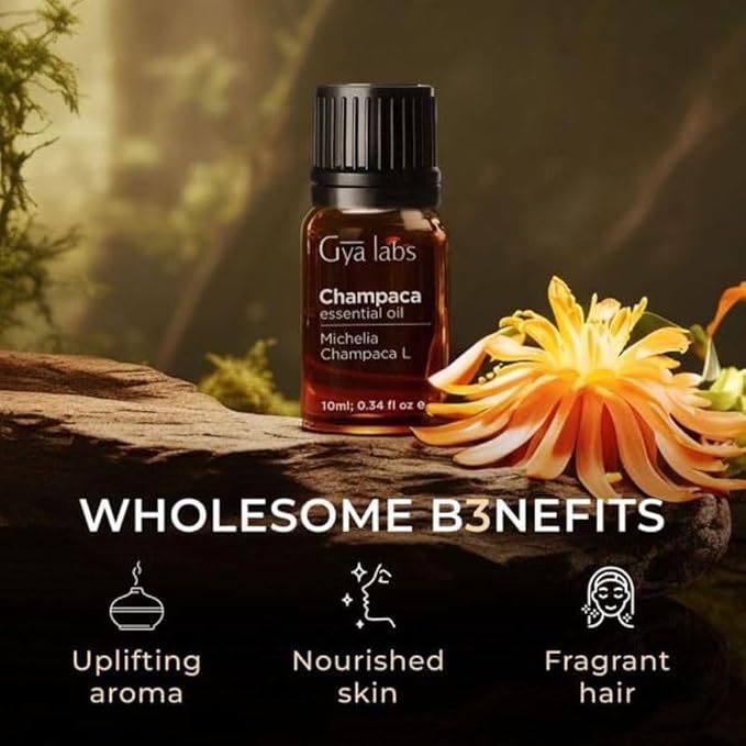 Gya Labs Champaca Essential Oil for Diffuser - 0.34 Fl Oz - 100% Pure Natural Champaca Oil for Skin, Hair, DIY Aroma Candle Making Scent-Ruum Studio Home