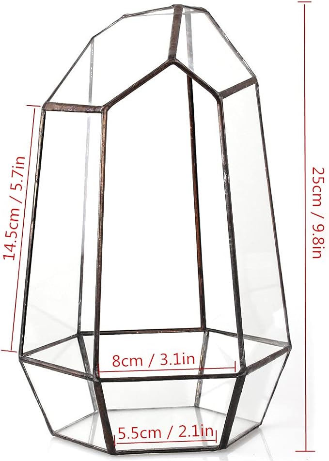 NCYP Geometric Glass Terrarium Planter for Succulent, Small Cacti, Black Irregular Opened Container Pot, Indoor Home Garden Office Tabletop Decor, 6.5" x 5.7" x 9.8" (No Plants, No Door)-Ruum Studio Home