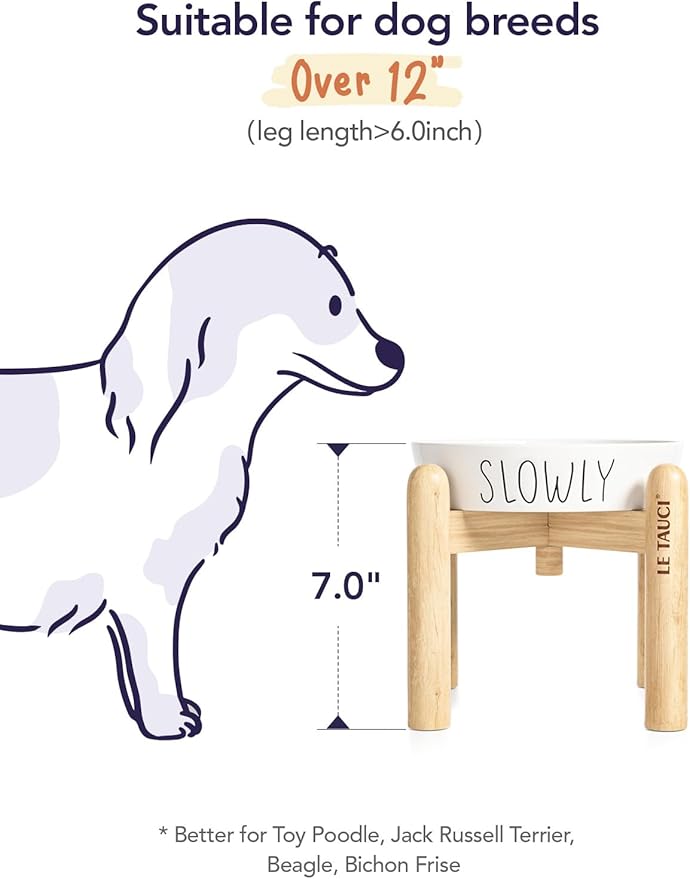 Ceramic Slow Feeder Dog Bowls Elevated for Small and Medium Breed with Wooden Stand, 1.5 Cups Dog Dishes to Slow Down Eating, Anti-Gulping Pet Feeding Dishes,White-Ruum Studio Home