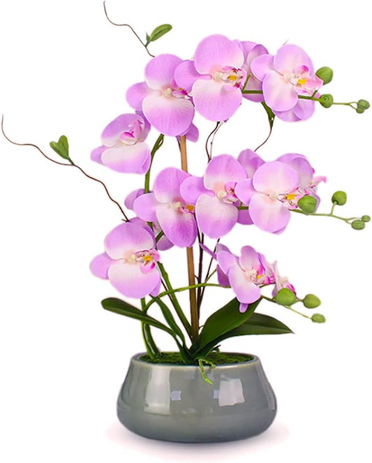 SJC Orchids Artificial Flowers with Gray Vase Purple Faux Orchid Phalaenopsis Arrangements for Kitchen Table Centerpiece Home Decoration Indoor(3.54" D x 7.87" W x 20" H)-Ruum Studio Home