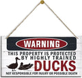 Funny Warning Signs, The Property is Protected By Highly Trained Ducks Sign, Decorative Wood Hanging Wood Plaque, Outdoor Warning Sign, Farm Yard Decor, Door Sign, Farmhouse Home Wall Decor-Ruum Studio Home