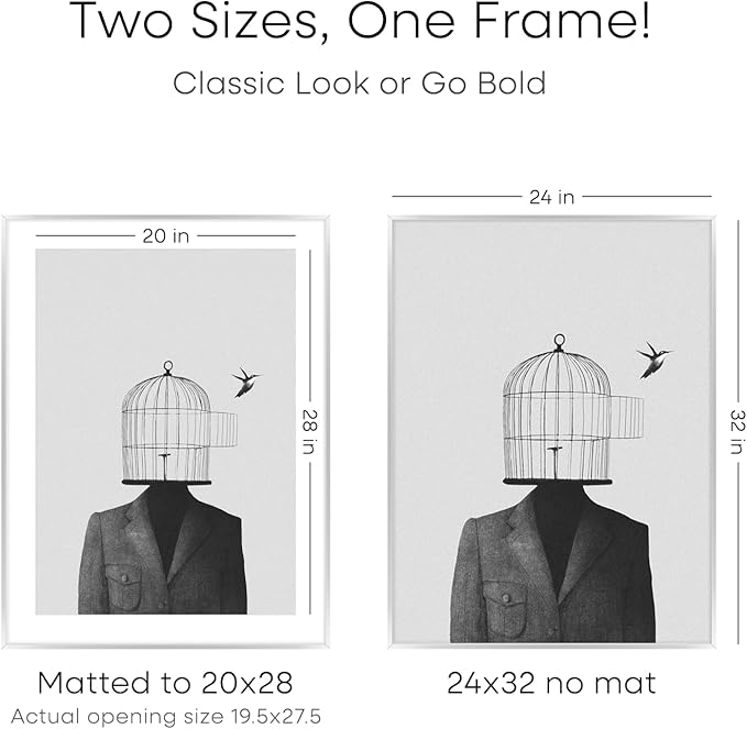 Homeforia Poster Frame 24x32 Silver, High End Metal 24 x 32 Large Picture Frame with Mat 20 x 28 Photo, 24x32 Silver Frames Matted to 20x28 Print, 32x24 Thin Frames, Tempered Glass, Wall Kit, Set of 1-Ruum Studio Home