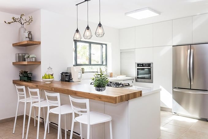 Artificial Plants Potted Real Looking Small Faux Plant with Rustic Black Cement Planter for Kitchen Office Desk Bookshelf Decor (Eucalyptus Plant)-Ruum Studio Home