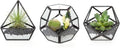 Mkono 4 Inches Mini Glass Geometric Terrarium Container Set of 3 Modern Tabletop Planter Shelves Decor Display Centerpiece for Succulent Miniature Fairy Garden Air Plant, Black(Plant Not Included)-Ruum Studio Home