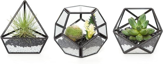 Mkono 4 Inches Mini Glass Geometric Terrarium Container Set of 3 Modern Tabletop Planter Shelves Decor Display Centerpiece for Succulent Miniature Fairy Garden Air Plant, Black(Plant Not Included)-Ruum Studio Home