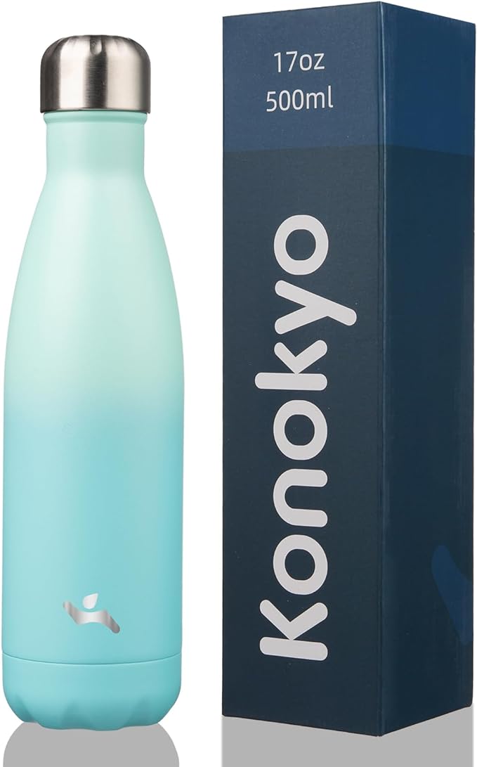 Insulated Water Bottles,17 oz Double Wall Stainless Steel Vacumm Metal Flask for Sports Travel,Mint-Ruum Studio Home