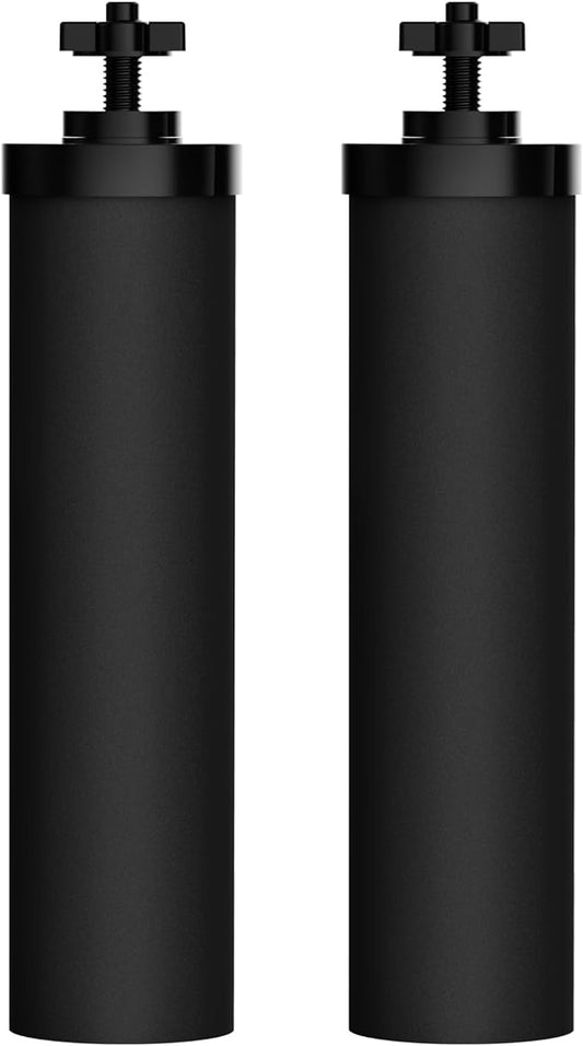 AQUACREST NSF/ANSI 42&372 Certified Water Filter, Replacement for Berkey® Gravity Water Filter System, Berkey® Black Purification Elements, Pack of 2-Ruum Studio Home