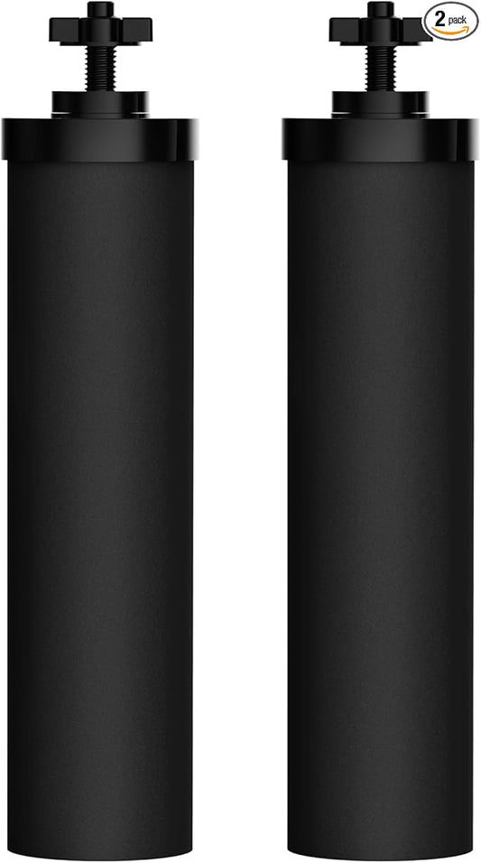 Waterdrop NSF/ANSI 42&372 Certified Water Filter, Replacement for Berkey® BB9-2® Black Filters, ProOne® or Alexapure® Gravity Water Filter System and Waterdrop King Tank Series, (Pack of 2)-Ruum Studio Home