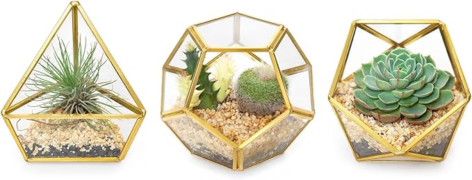 Mkono 4 Inches Mini Glass Geometric Terrarium Container Set of 3 Modern Tabletop Planter Shelves Decor Display Centerpiece for Succulent Miniature Fairy Garden Air Plant, Gold (Plant Not Included)-Ruum Studio Home
